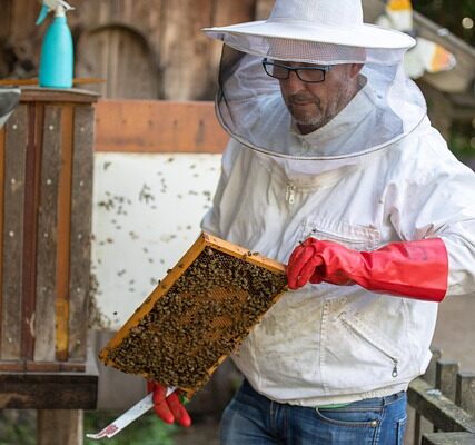 beekeeper-5492911_640