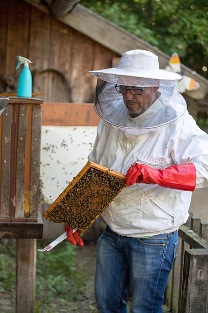 beekeeper-5492911_640