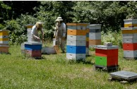 beekeeping4