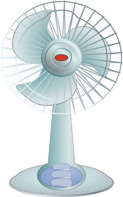 fan-154868_640