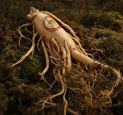 ginseng-1848303_640