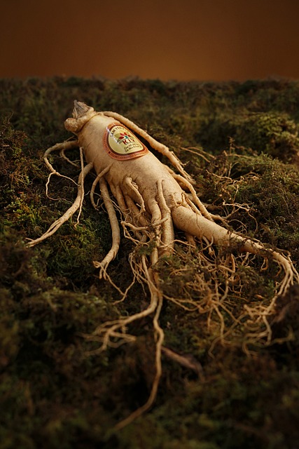 ginseng-1848303_640