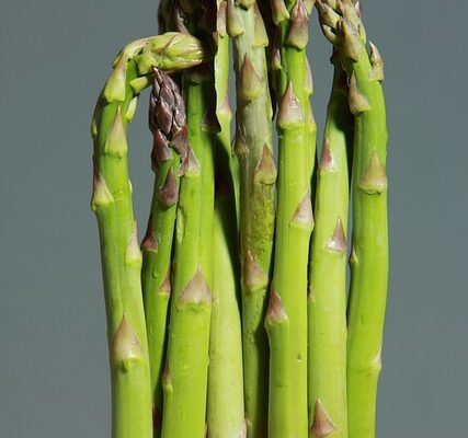 green-asparagus-1331460_640