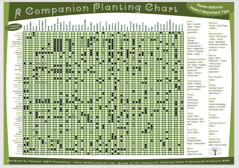 planting-chart