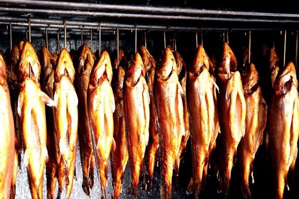 smoked-trout-418206_640