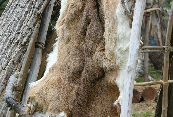 deer-hide-58889_640