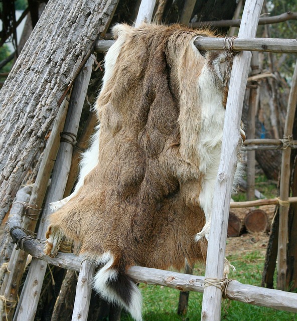 deer-hide-58889_640