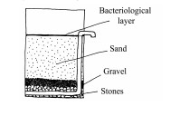 water filter 5