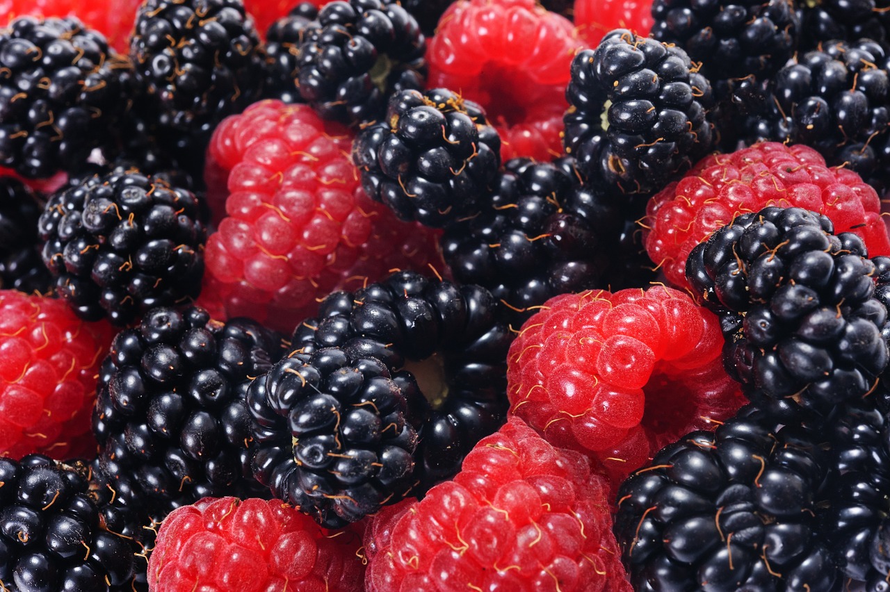 raspberries-and-blackberries-5001160_1280