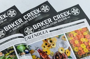 bakercreek1BteGiGF