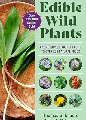 51NdNItdvQL._SY445_SX342BEXJ2Ja