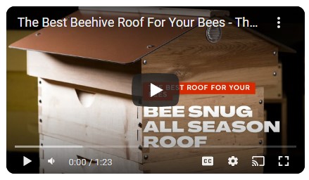 beebuiltyt