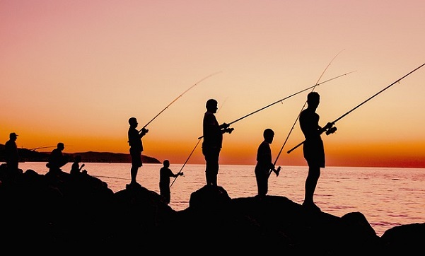 fishing-4933219_640