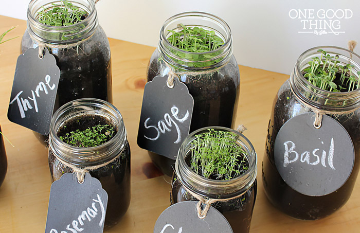 How-To-Make-A-Mason-Jar-Herb-Garden-WP