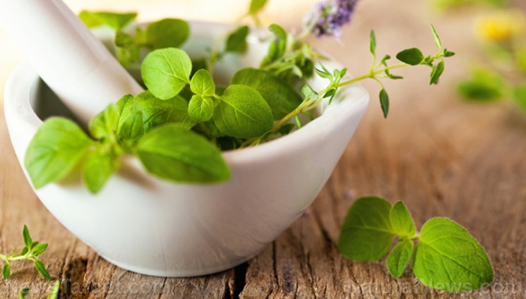 Screenshot-2025-08-20-065152