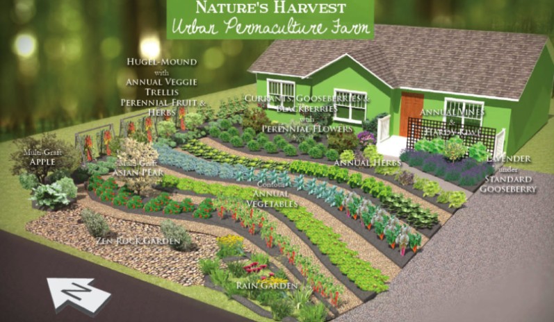 Screenshot-2025-09-06-062629