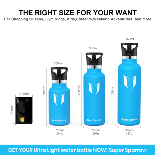 Ultra-Light Stainless Steel Water Bottle with Straw Lid, 25OZ / 750ML - Image 2