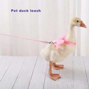 Wing Design Duck Harness Flexible Buckle Solid Color