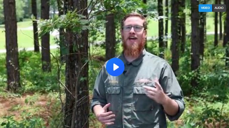 Screenshot-2025-10-25-075254