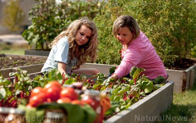 Screenshot-2025-10-25-080616