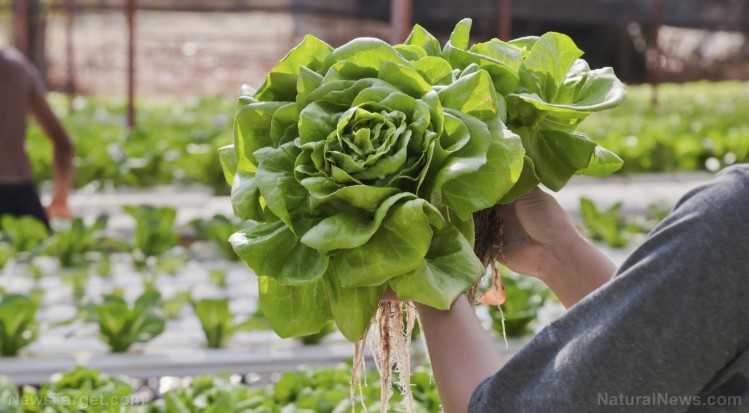 Screenshot-2025-11-26-044115