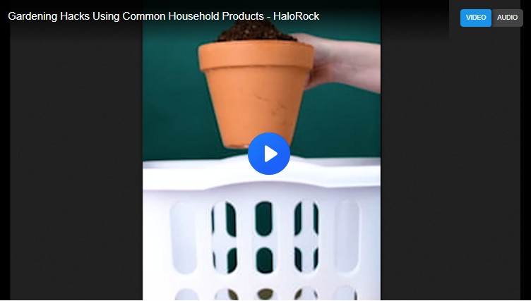 Screenshot-2025-11-26-044233