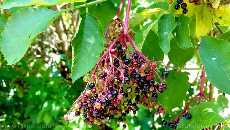 Screenshot-2025-11-26-050552