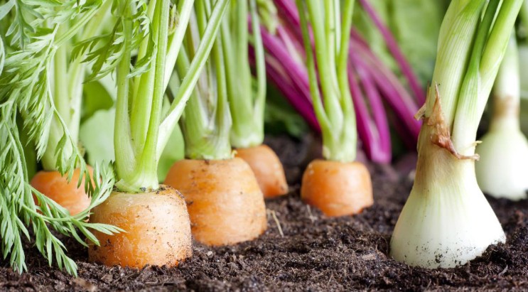 Screenshot-2025-11-26-050900