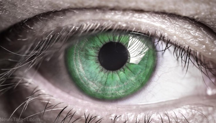 Screenshot-2025-11-26-0526388IIG803