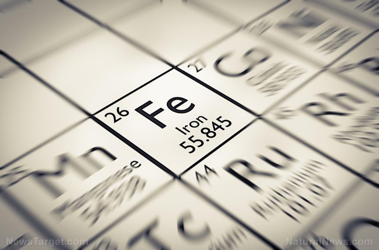 Screenshot-2025-11-26-053108