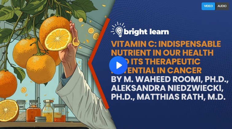 Screenshot-2025-11-26-054049