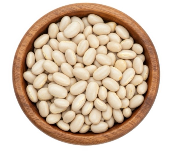 Screenshot-2025-11-26-054247