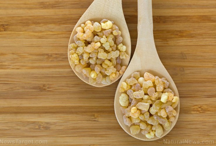 Screenshot-2025-11-28-082840