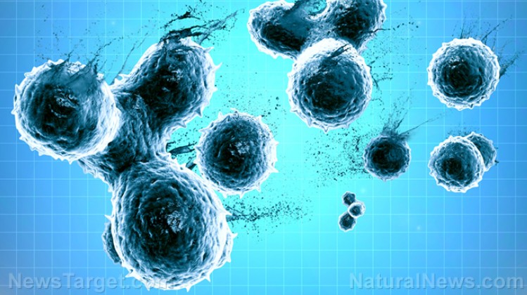 Screenshot-2025-11-29-053518