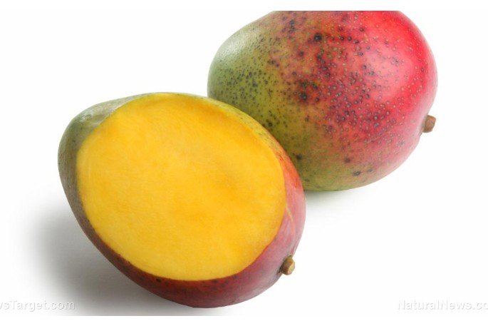 Screenshot-2025-11-29-054325