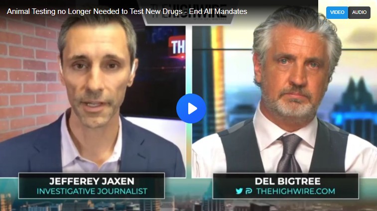 Screenshot-2025-11-29-062230