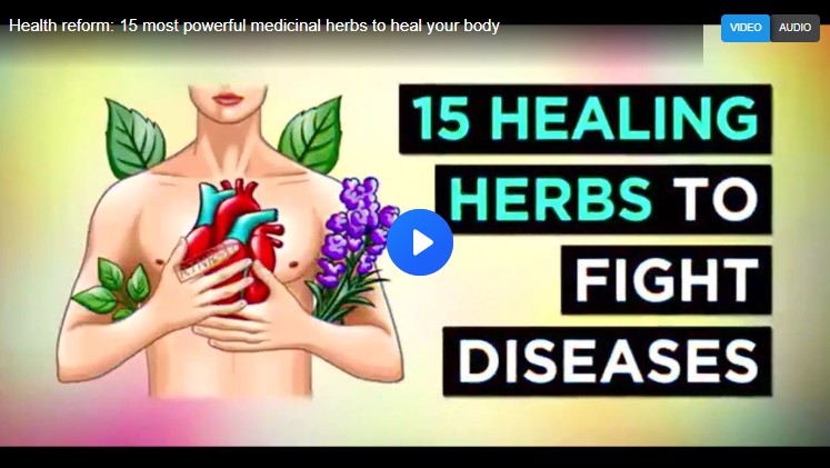 Screenshot-2025-12-13-074343