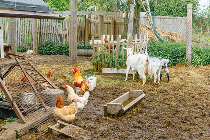 Screenshot-2025-12-27-074252