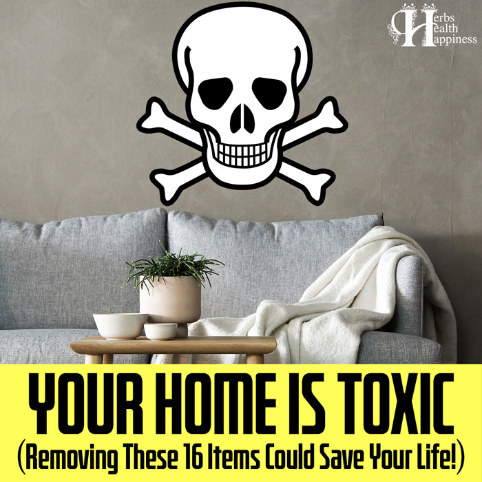 Your-Home-IS-TOXIC-And-These-Simple-Tests-Could-Save-Your-Life-WP