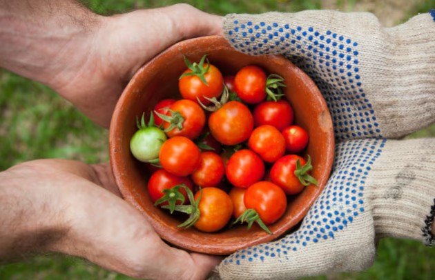 Screenshot-2026-01-11-080833