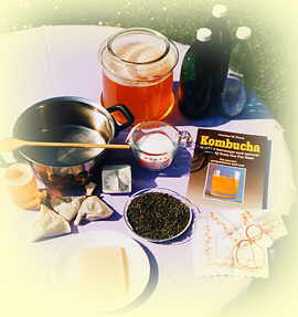 How To Make Your Own Kombucha Tea