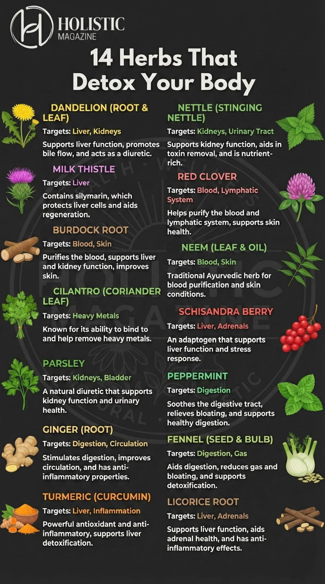 🌿 14 Herbs Traditionally Used to Support the Body’s Natural Detox Processes 🌿