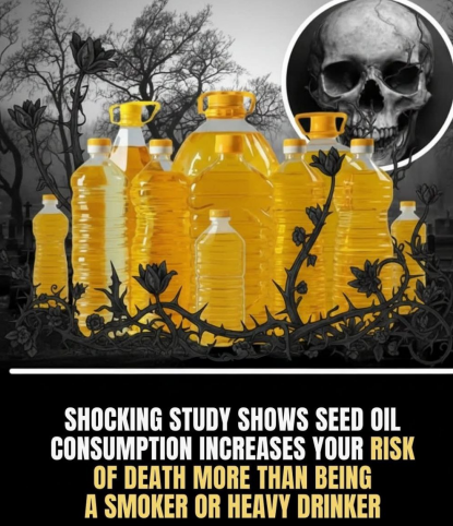 ⚠️ Seed Oils: What You Should Know