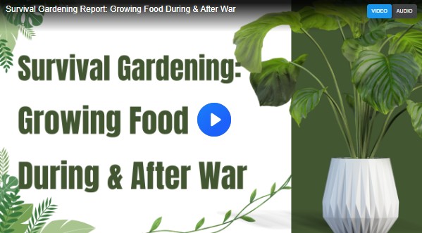 Screenshot-2026-02-10-070645