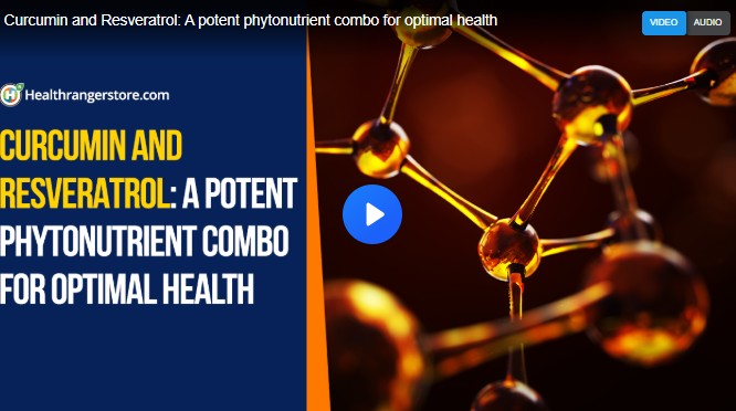 Screenshot-2026-02-10-072228