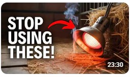 15 Winter Mistakes Homesteaders Make (I’ve Made Them All)