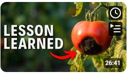 10 Gardening Mistakes I Won’t Repeat in 2026