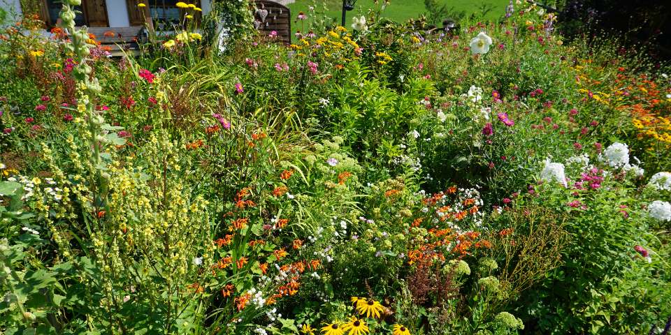 ThingstoFebruary-bottom