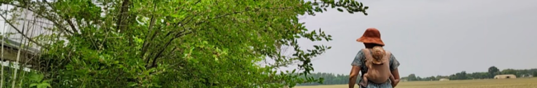 threeriversbanner21PMydD