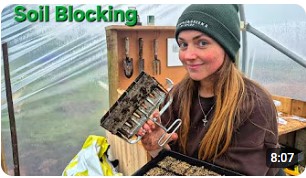 How to Start Seeds Using Soil Blockers